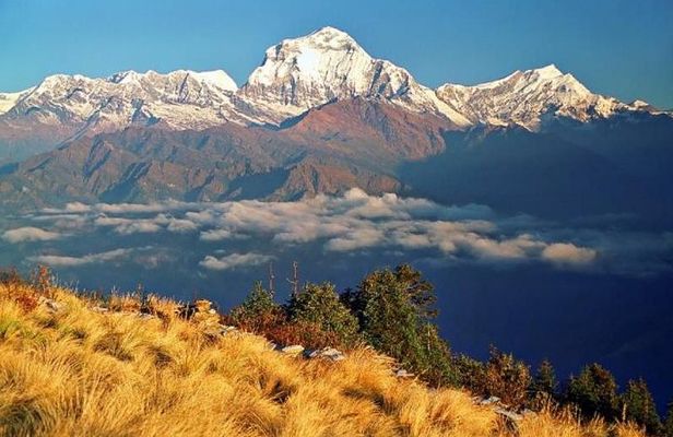 Annapurna Ghorepani Poonhill Trekking