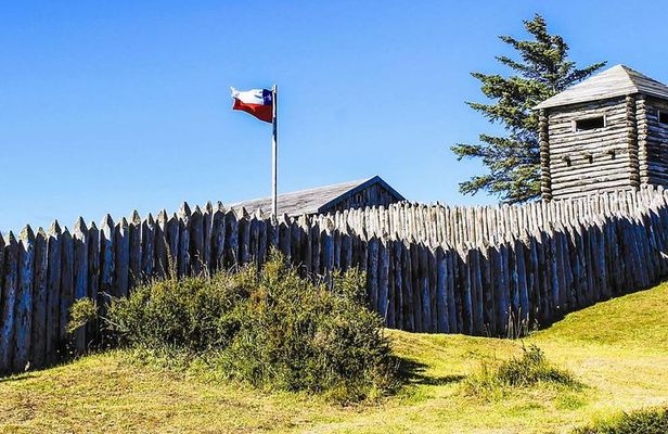 Punta Arenas and Magellan Strait Tour