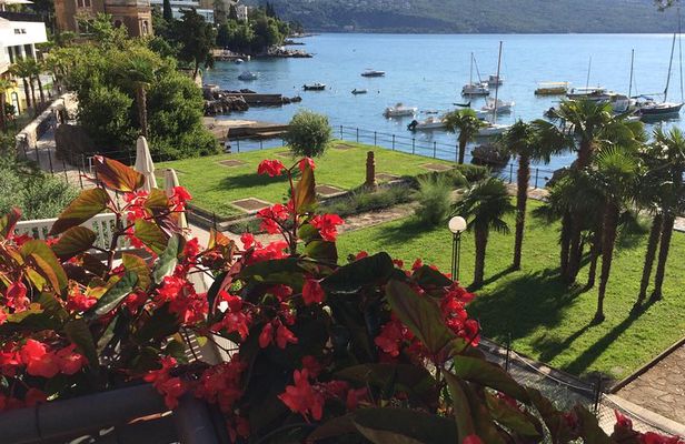 Truffle Istria Private Guided Day Trip from Zagreb