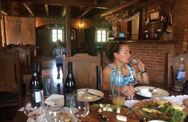Wine Road Day Tour from Zagreb