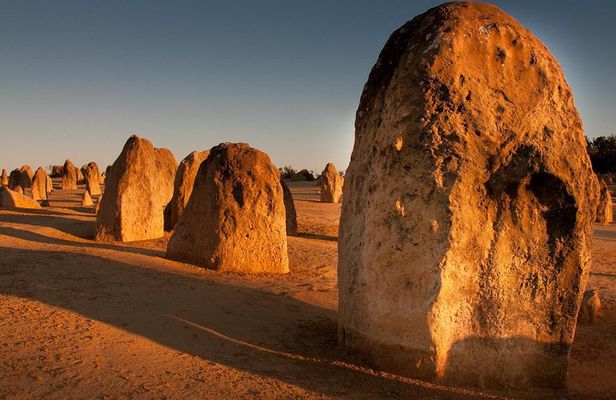 Pinnacles & Rottnest Island Scenic Air & Ground Tour