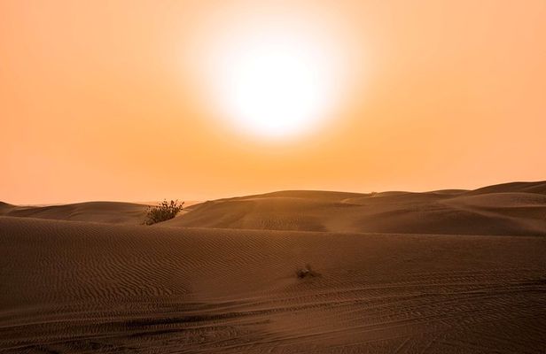 Sundowner Dune Safari With Dinner