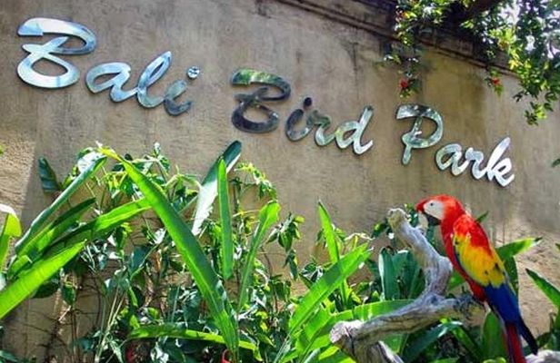Private Tour Bali Bird Park And Ubud Tour