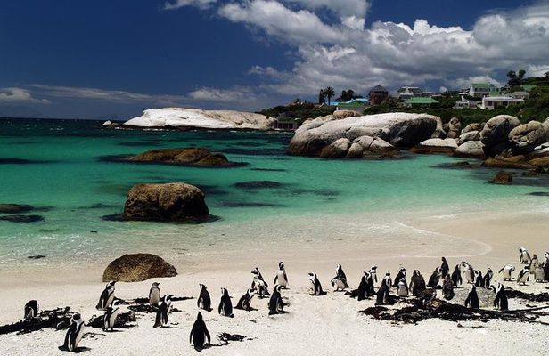 Cape Town Day Tours