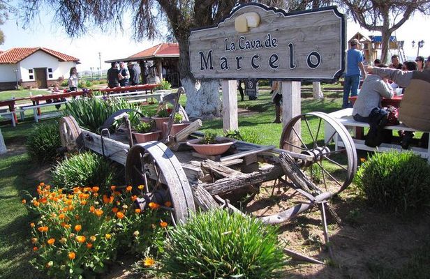 Ojos Negros Valley Wine and Cheese Route Tour in Baja California