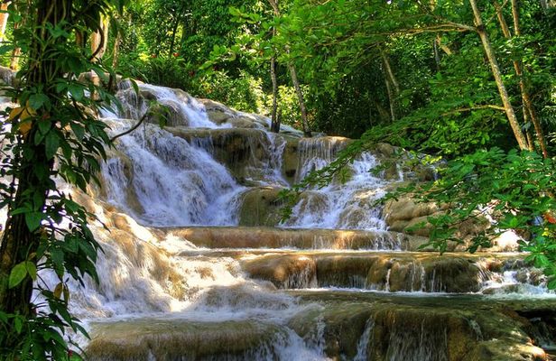 Day Trip to Dunn's River Falls from Montego Bay