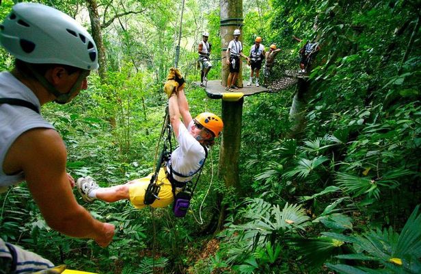 Adventure Combo Tour: Zipline adventure and Tortuguero Canals