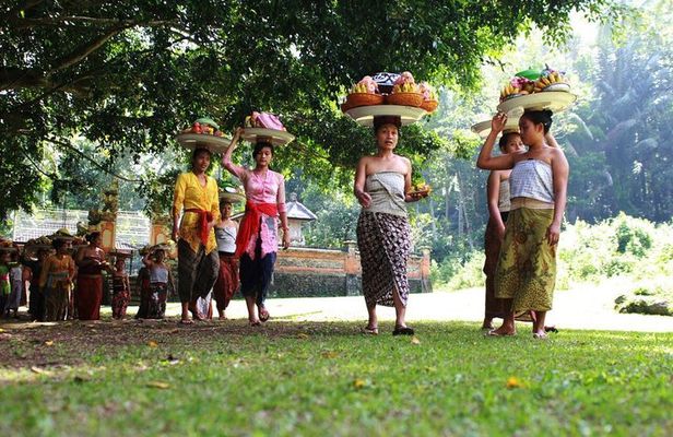 Ubud Highlights Tour ( Private All-Inclusive )