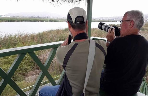 Pantanos de Villa Wildlife Refuge Tour in Lima