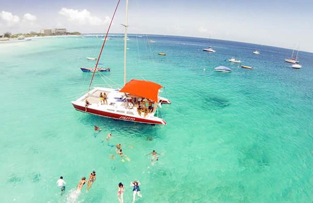Barbados Catamaran Turtle Snorkel with Lunch and Open Bar