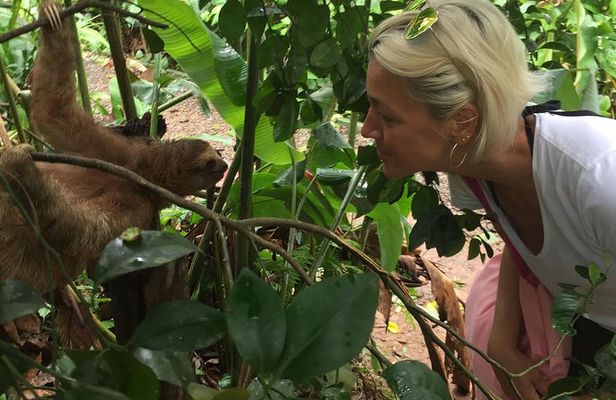 Wild Life And Horseback Riding Through The Rain Forest