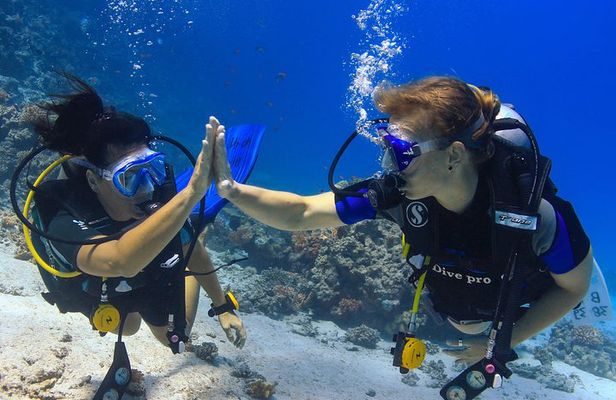 2-Dive adventure-Safe & Top-rated boat for Certified Divers