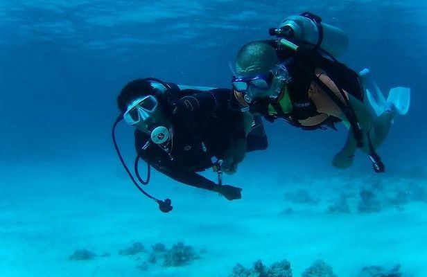 Day Scuba diving trip from Hurghada
