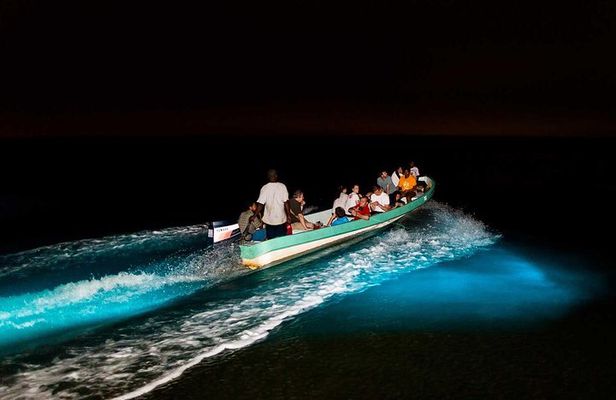 Bioluminescence Tour & Sunset River Cruise