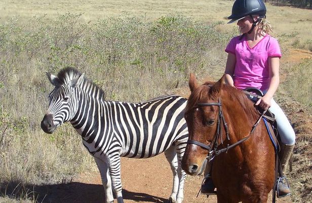Horseback Safari Tour