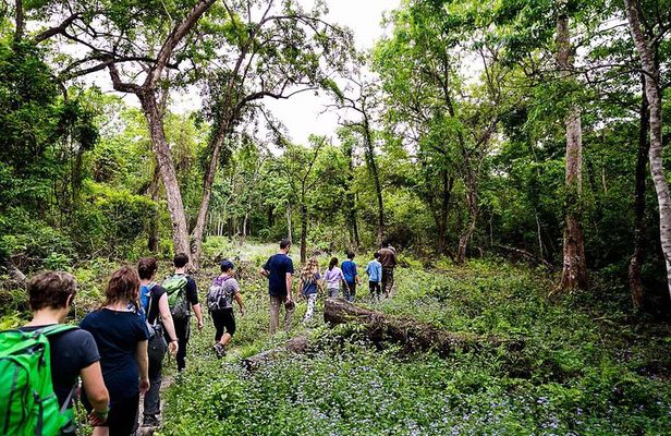 2 Nights Chitwan Luxury Tour from Kathmandu or Pokhara