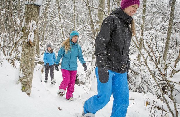 Snowshoeing Tour in Jacques-Cartier National Park
