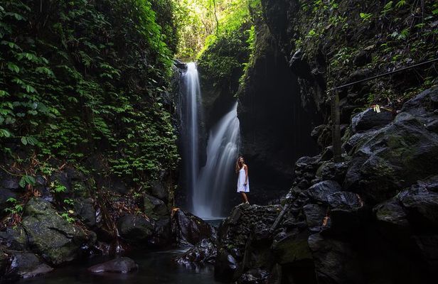 Gitgit and Alingaling Waterfalls Private Group Tour - Full Day