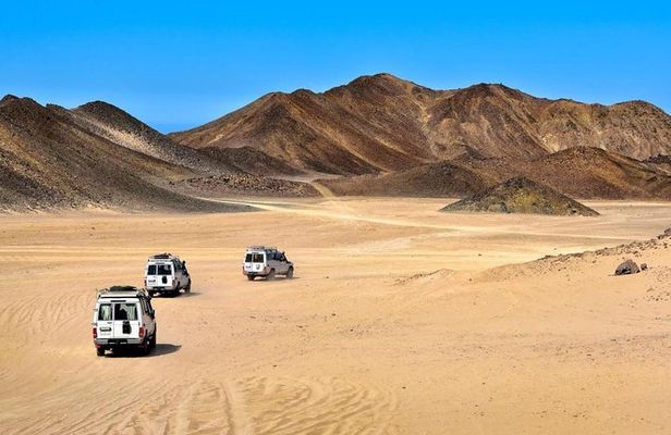 Super Desert Safari (4WD, Quad Bike, Camel Ride, BBQ Dinner & Drinks)