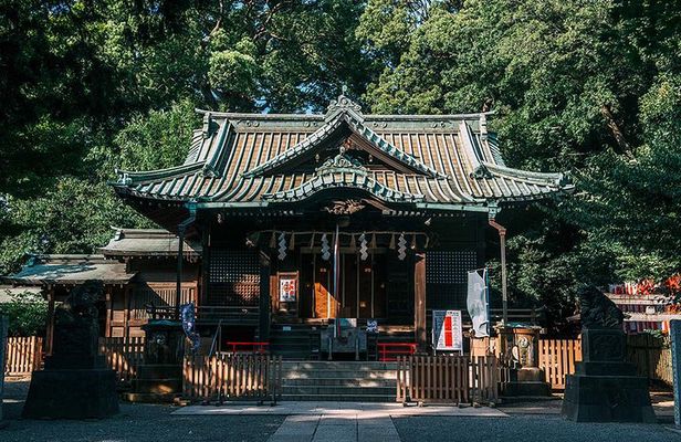 Experience local life in Yoyogi Uehara