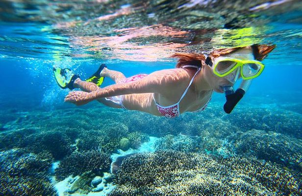 Abrolhos Islands Scenic Flight & Snorkel Adventure from Perth
