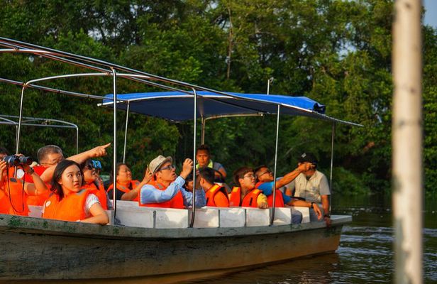 Klias Wildlife Safari River Cruise from Kota Kinabalu