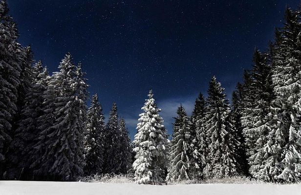 Moonlight Snowshoe Hike