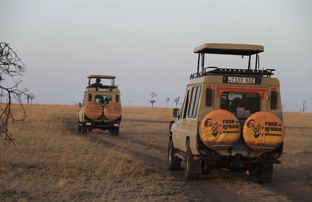 4 Days Game drives Safari Tarangire, Serengeti and Ngorongoro Crater