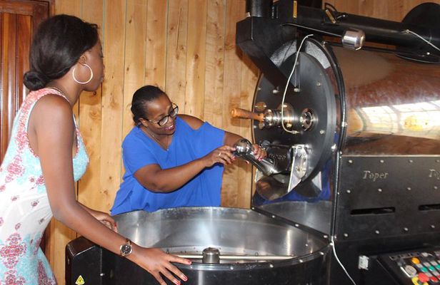 Coffee farm tour, coffee roasting and tasting experience