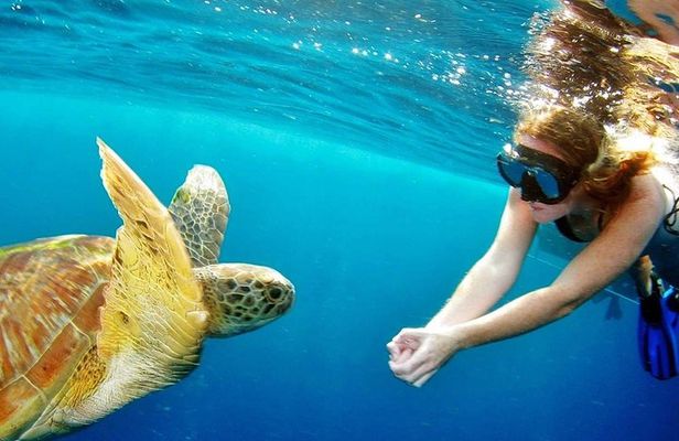 Surin Island Snorkeling by Speedboat from Khao Lak
