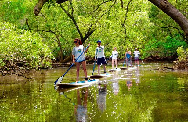 Byron Stand Up Paddle Nature Tour