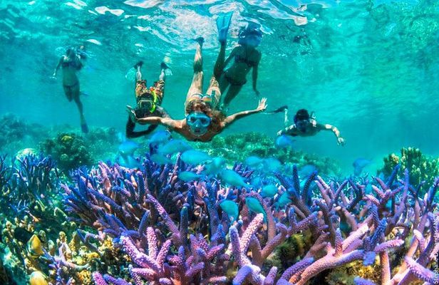 Bloo Lagoon Snorkeling East Bali Includes Transportation & Lunch