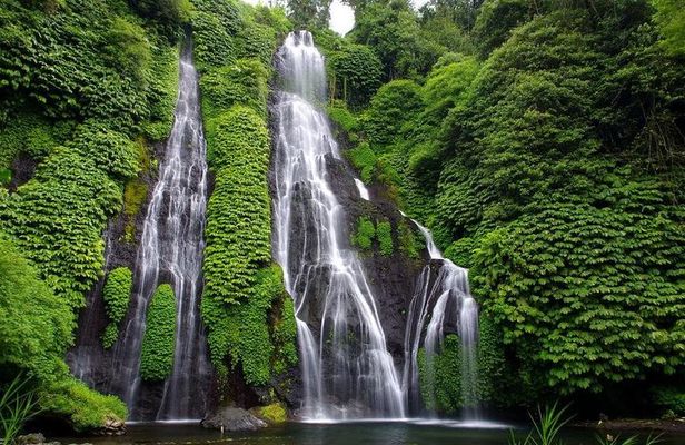 Bali Best Waterfalls Tour : Sekumpul and Banyumala