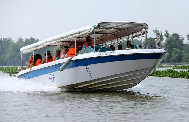 Full-Day Tour in the Cu Chi Tunnels with a Luxury Speed Boat