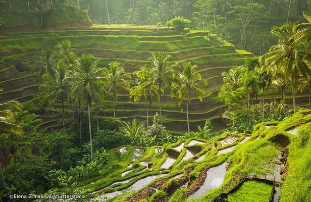 Discover Bali in 2 Days Private Tour Package