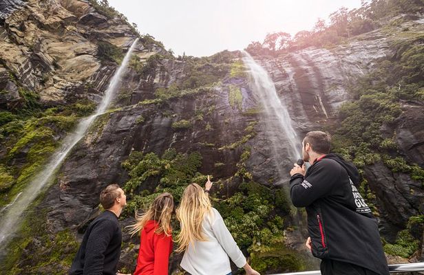 Milford Sound Nature Cruise with Southern Discoveries