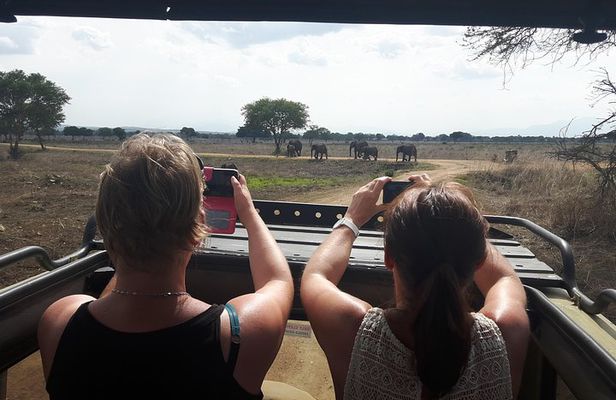Day trip to Mikumi National Park from Dar es salaam