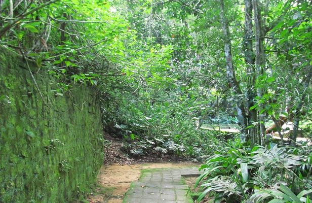 Rio de Janeiro: Jeep Tour to Tijuca Forest