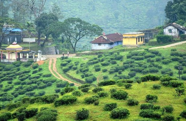 Explore The Rustic Life Of Thekkady With Lunch