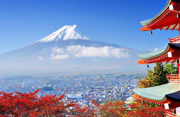 Tokyo to Hakone | Private and Personalized Day Trip with a Local