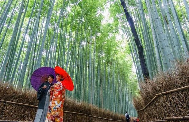 Arashiyama Bamboo Grove Day Trip from Kyoto with a Local: Private & Personalized