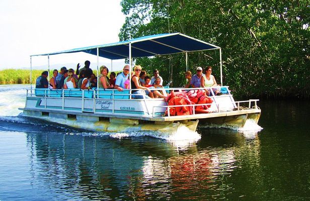 Black River Safari and YS Falls Tour from Negril