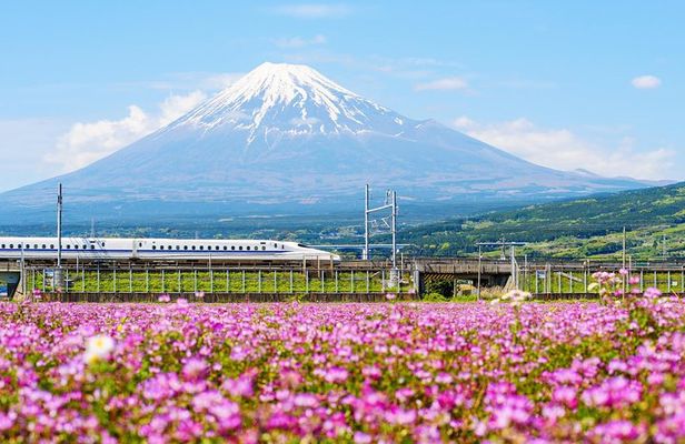 Bullet Train and Mt. Fuji Famous Food Tour