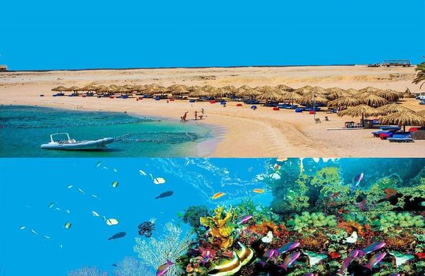 Dolphin House Snorkeling Day Cruise with Lunch from Hurghada