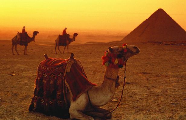 Sunset Camel Ride around the Giza Pyramids Desert