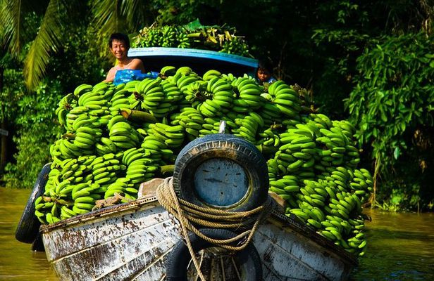 VIP Mekong Delta Adventure Cycling & Kayak Day Trip Group 10 Pax