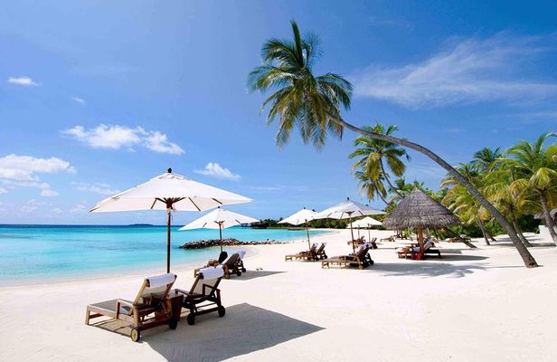 Private Nha Trang Full day City Tour