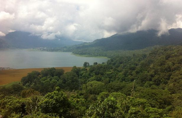 Private Jungle Trekking Tour with Tamblingan Lake Canoeing