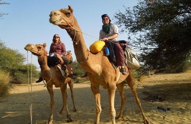 Private Chandigarh Day Trip from New Delhi