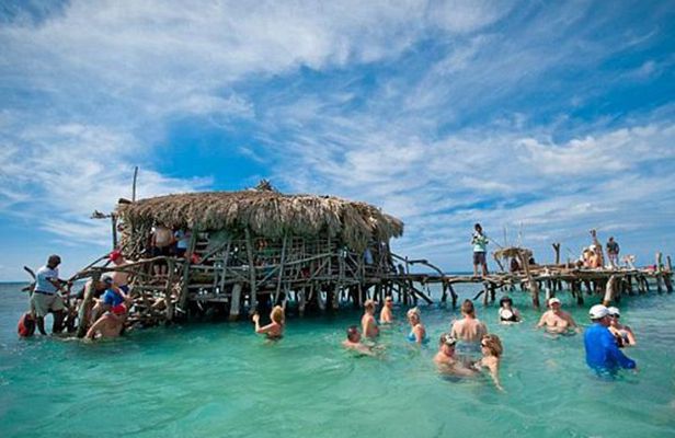 YS Falls, Pelican Bar, Horseback Ride/Swim Combo Tour with Lunch